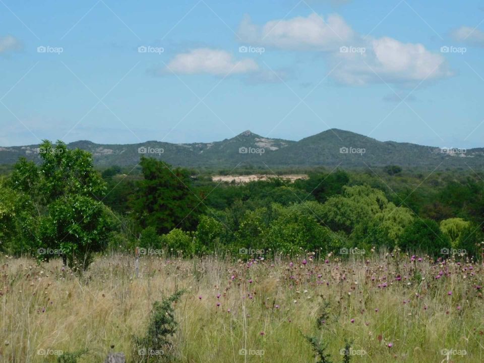 paisaje natural vegetación montaña