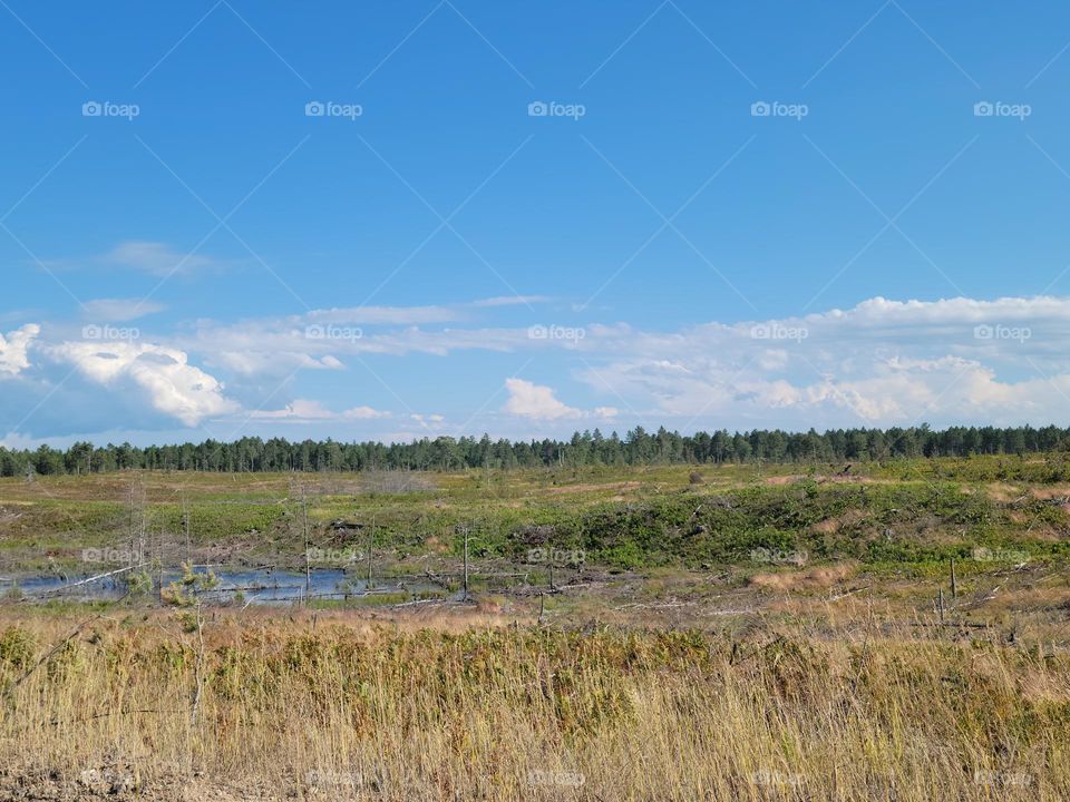 Tahquamenon Fall State Park