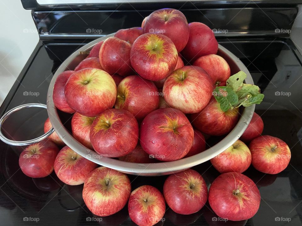 Apples from the backyard
