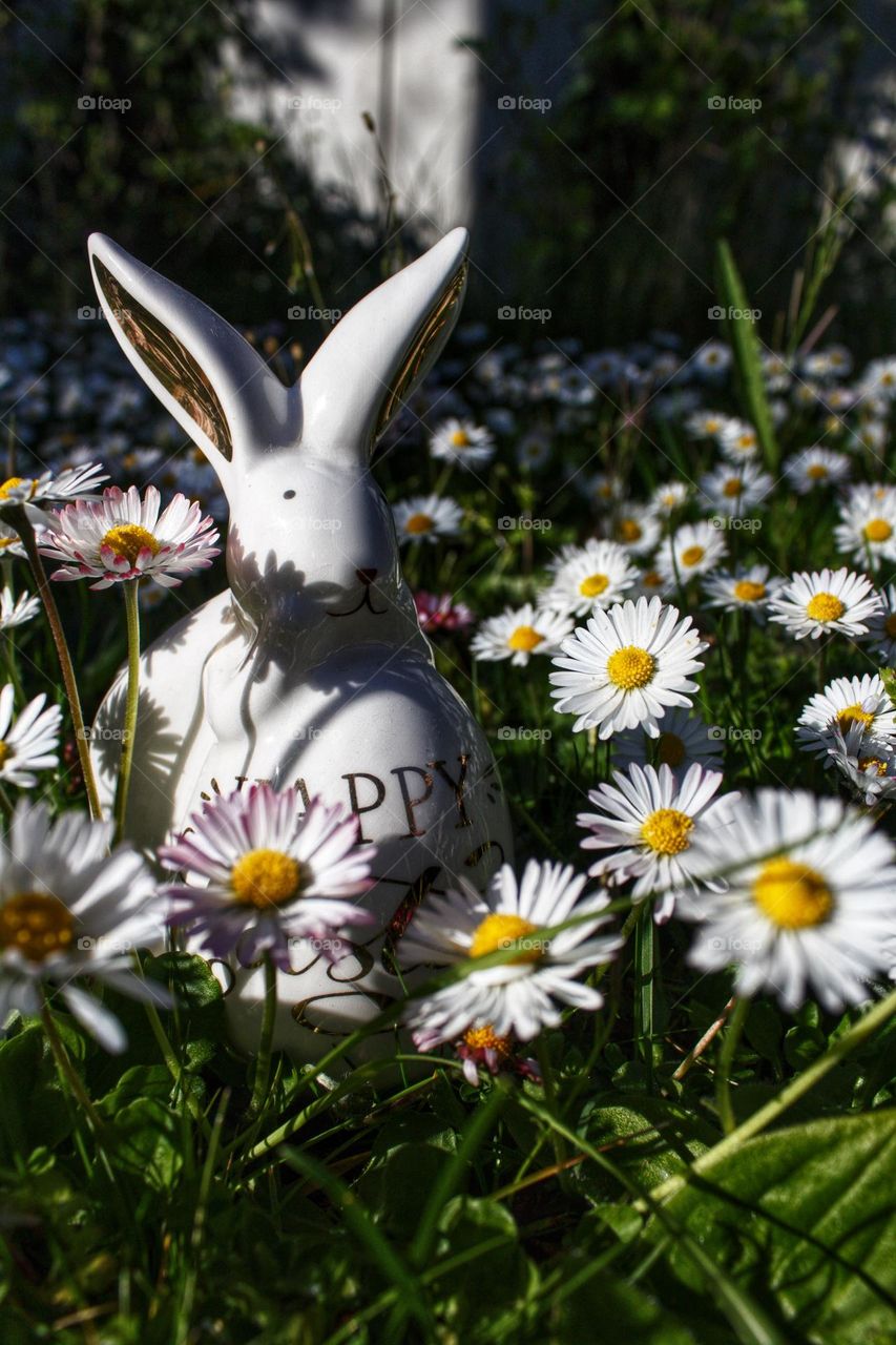 Easter bunny figure with egg saying Happy Easter hiding in a meadow full of daisies.