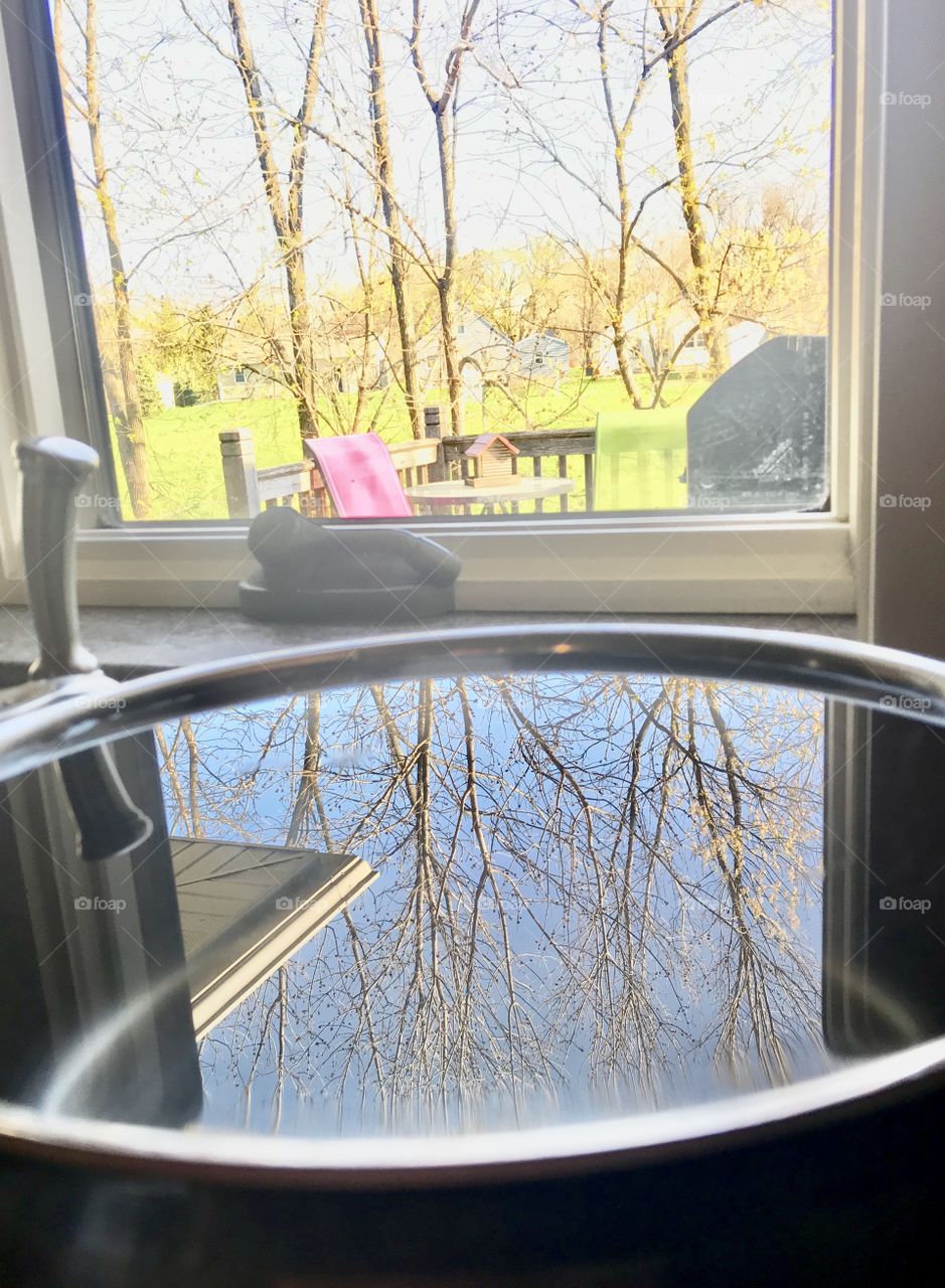 Beautiful reflection of trees in water sitting in large stainless steel pot on countertop! 