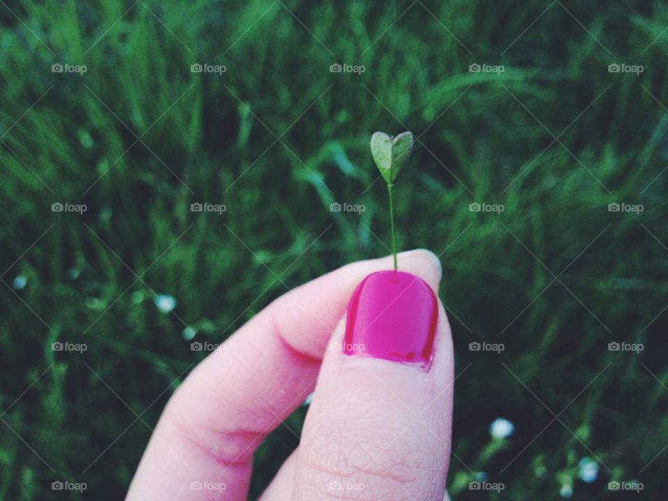 Hand holding little heart 