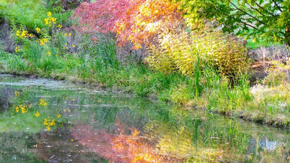 Fall Reflections