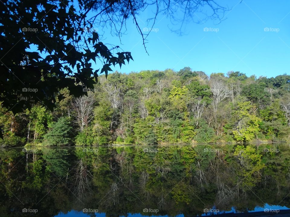 Green Trees and Water at Twin Lakes