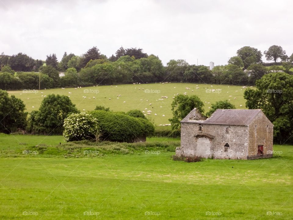Old House on Farm