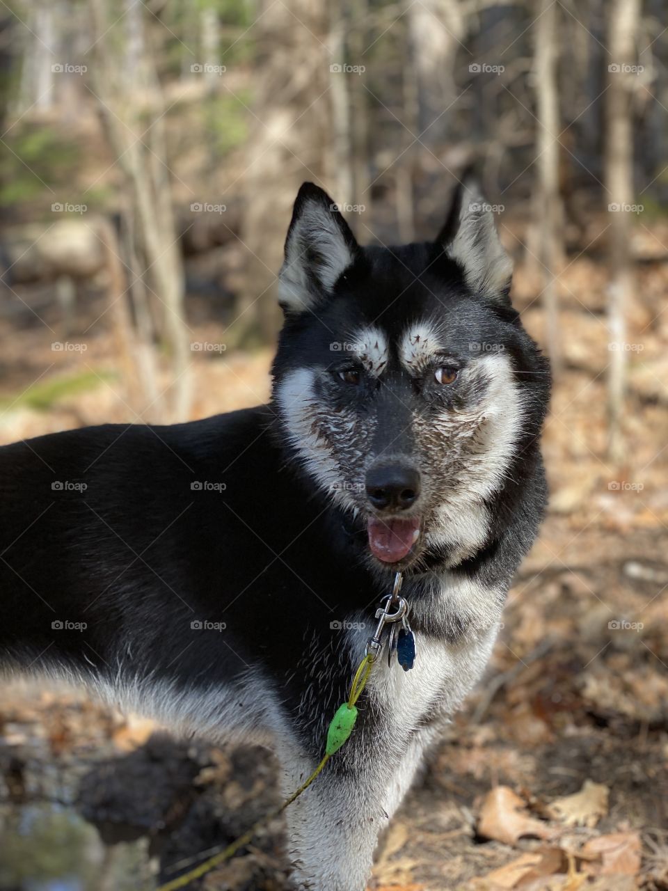 “Do i have something on my face?”