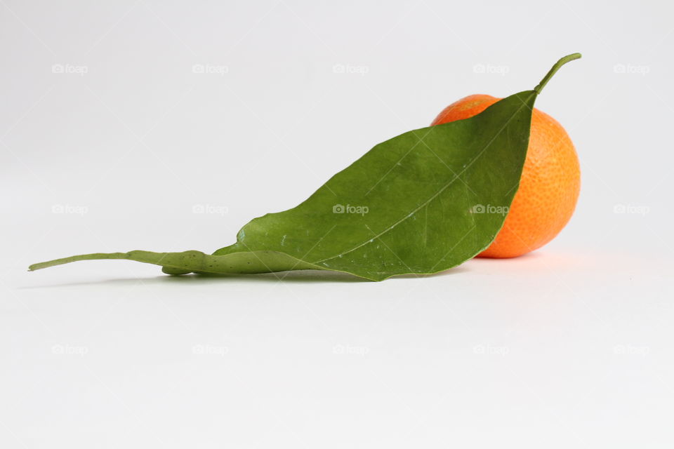 miniature orange Mandarin