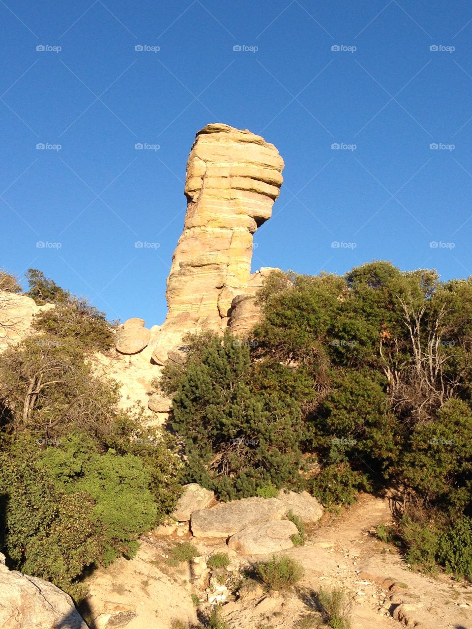 Indian head Rock . Mount Lennon, AZ