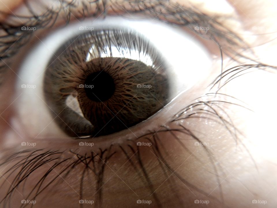 close-up of human eye with details of light brown iris