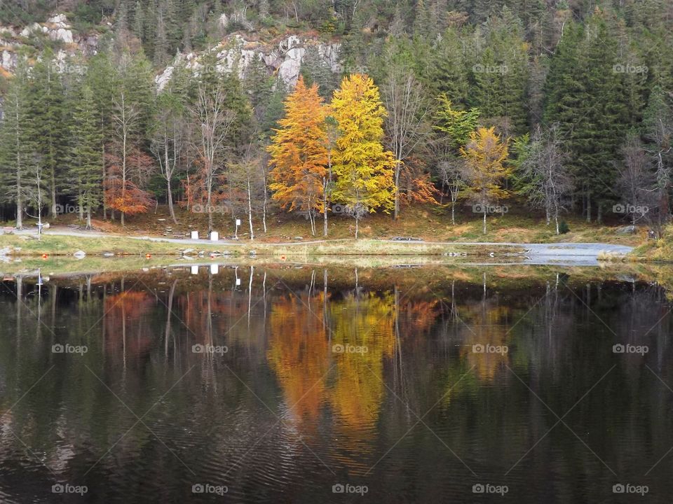 A Norwegian mountain lake, in the autumn