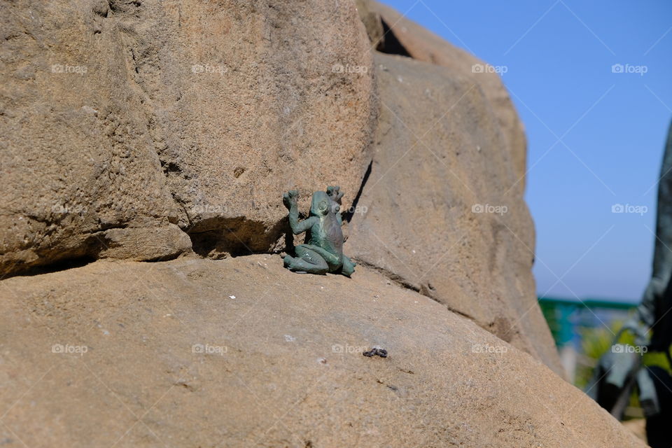 Cannery Row frog. You know the story