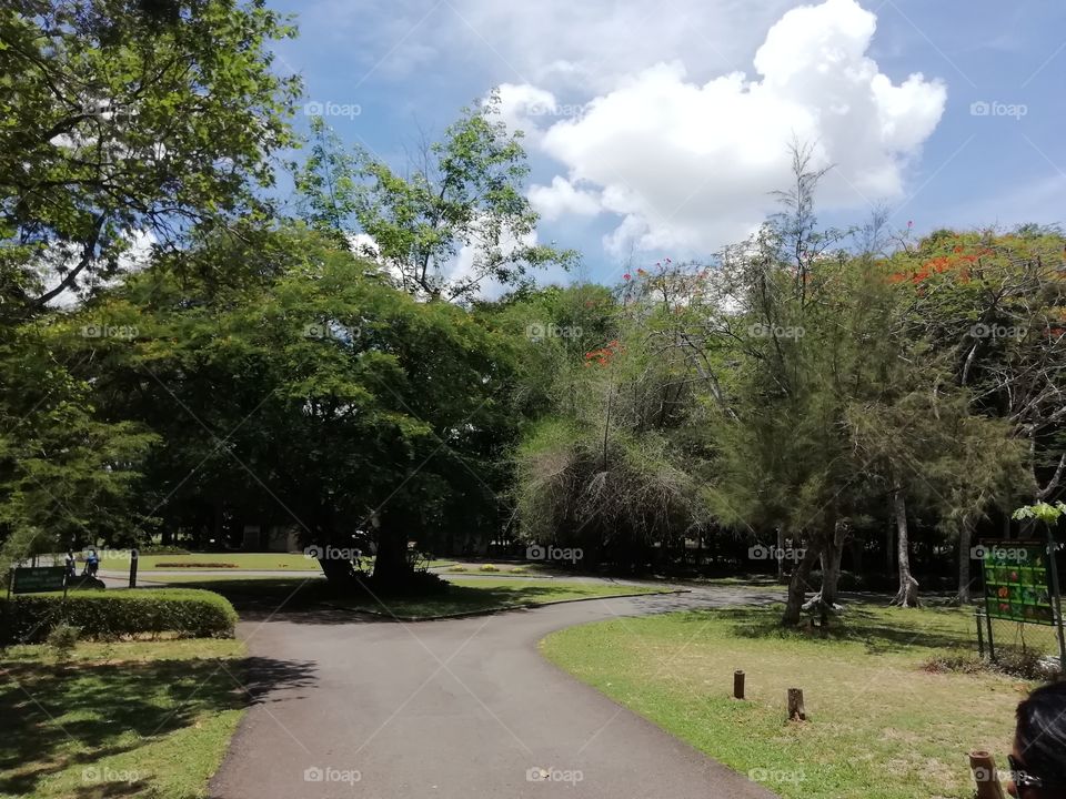 They say its lovers pradies but where are they hiding.. 🤔.... Lol. 😂