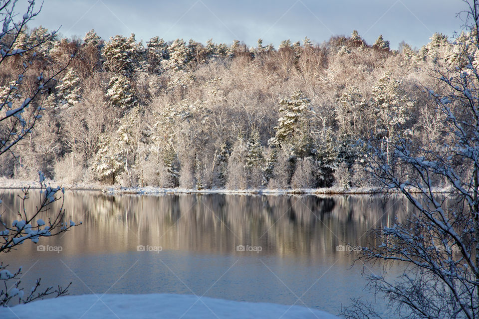 Beautiful winter wonderland lake reflection - vinterlandskap skog sjö reflektion 