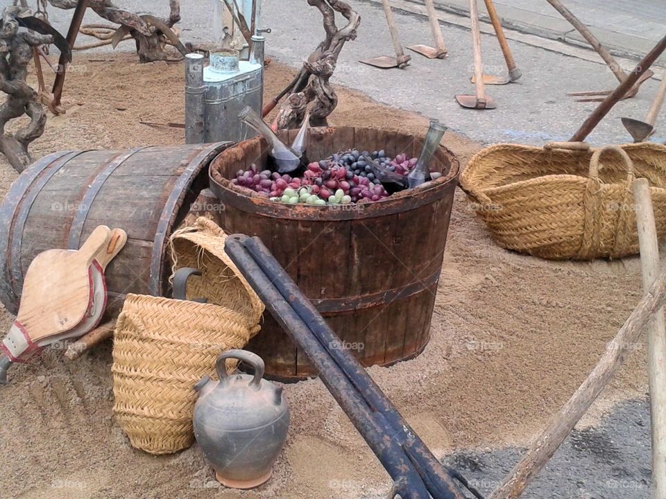 Grape wine in barrel