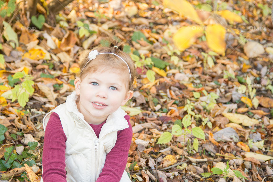 Toddler Girl Sitting in Fall Leaves