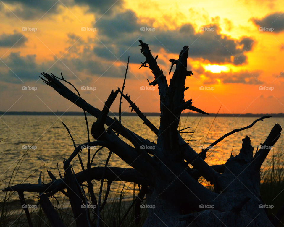 The sky was filled with the most brilliant orange complimented perfectly with hues of gold, yellow, red and crimson. An orange haze had casted over the water, reflecting off every wave.  Finally,the sun disappears along with the shine. I can only wait to see another magical moment of beauty and warmth! I can only wait for another sunset! Enjoy!