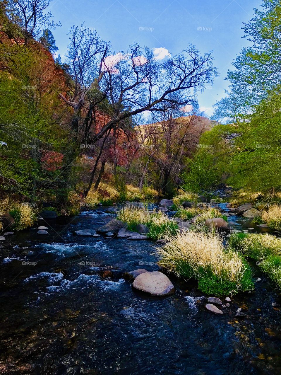 Oak Creek, Arizona 