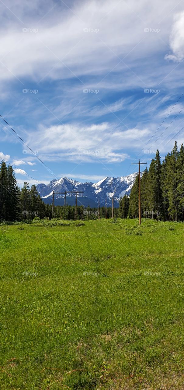 mountain view from a valley with trees on the left and right with powerlines drawing your eyes to the mountain