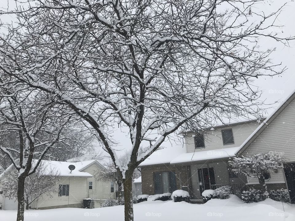 Michigan snow 