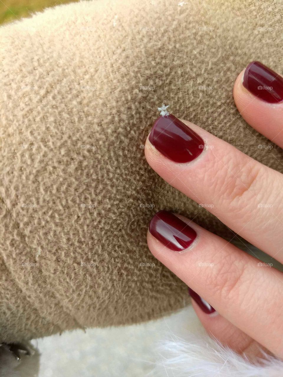 Floco de neve em Toronto no Canadá!