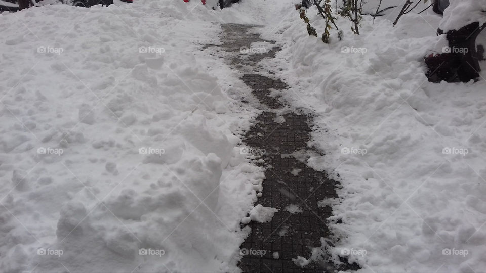 Snow Path