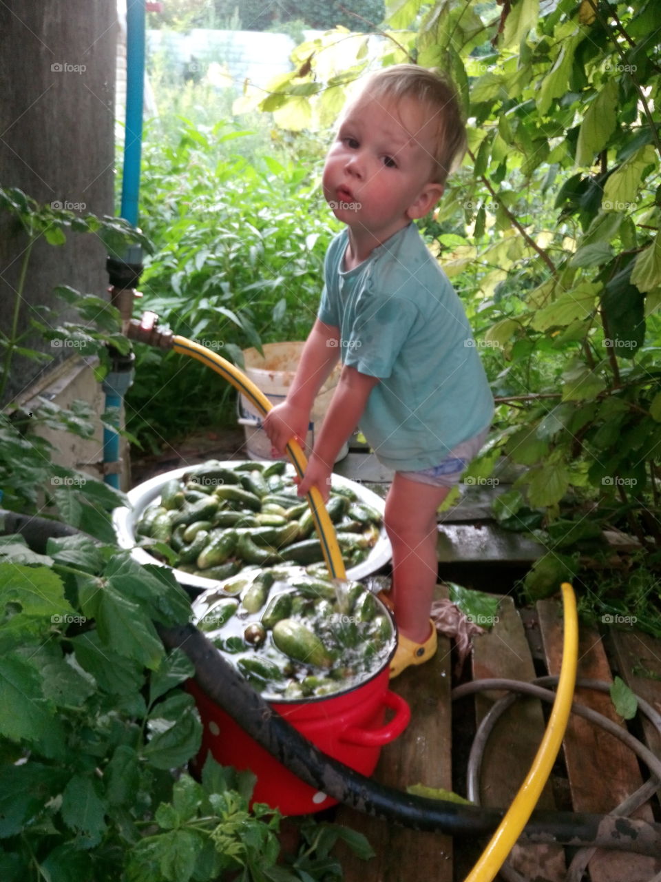 boy and cucumbers