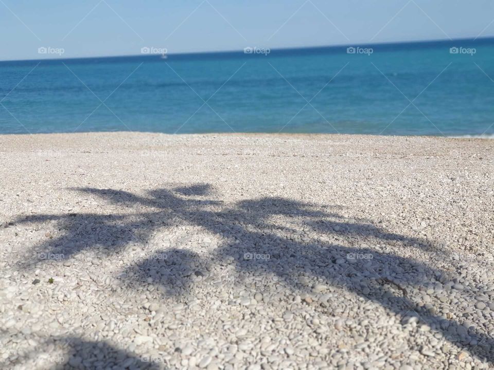 Shadow#palm#beach#sea#stones