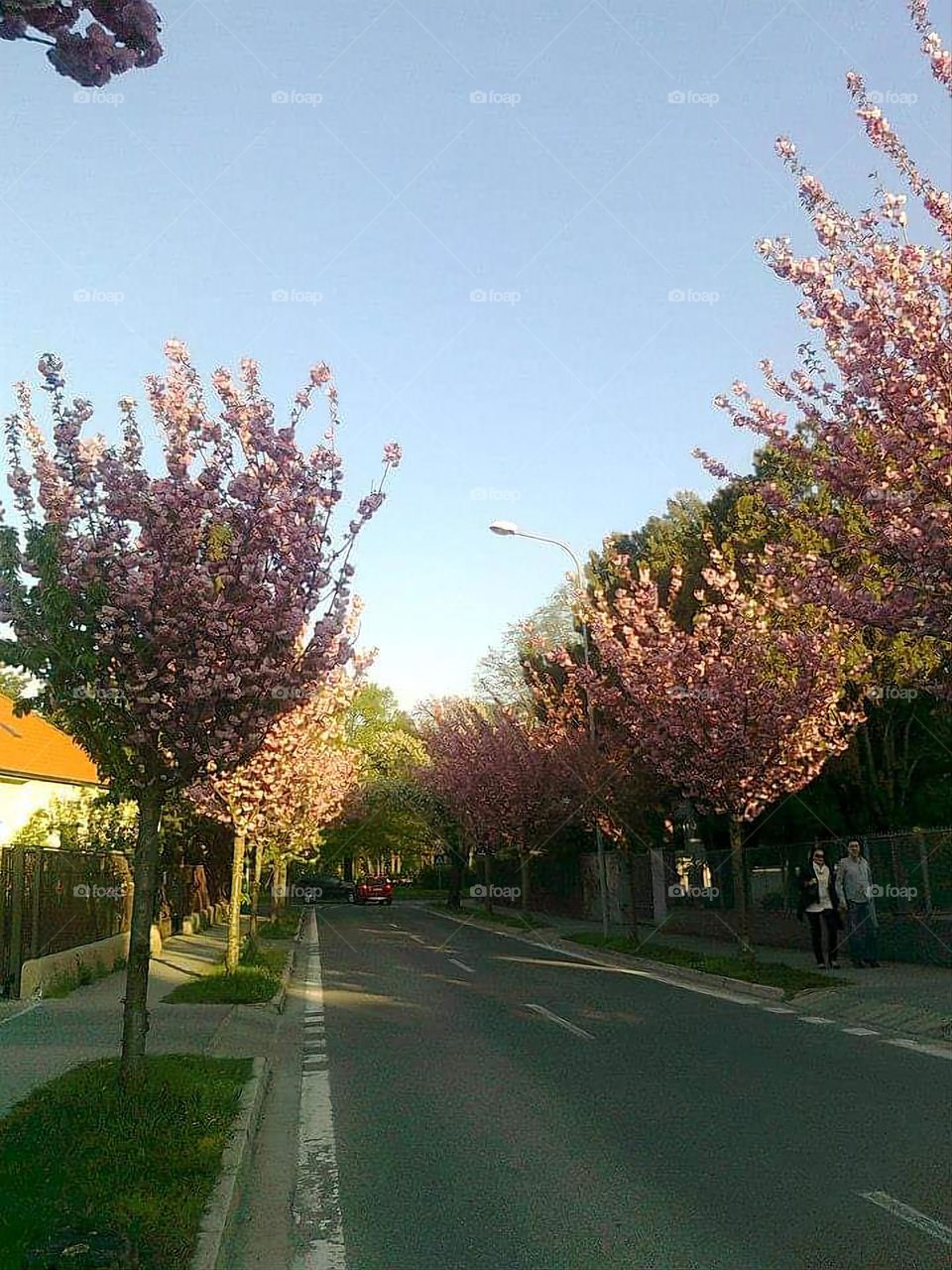 Street from Nitra