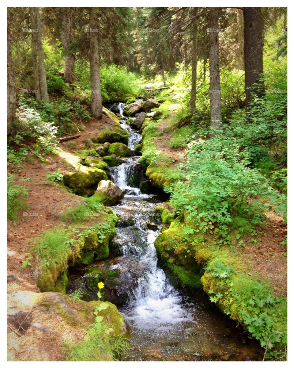 Waterfall in the forest