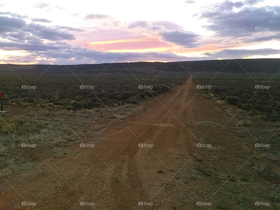 sunrise over dirt road in sage brush field of New Mexico,  USA
