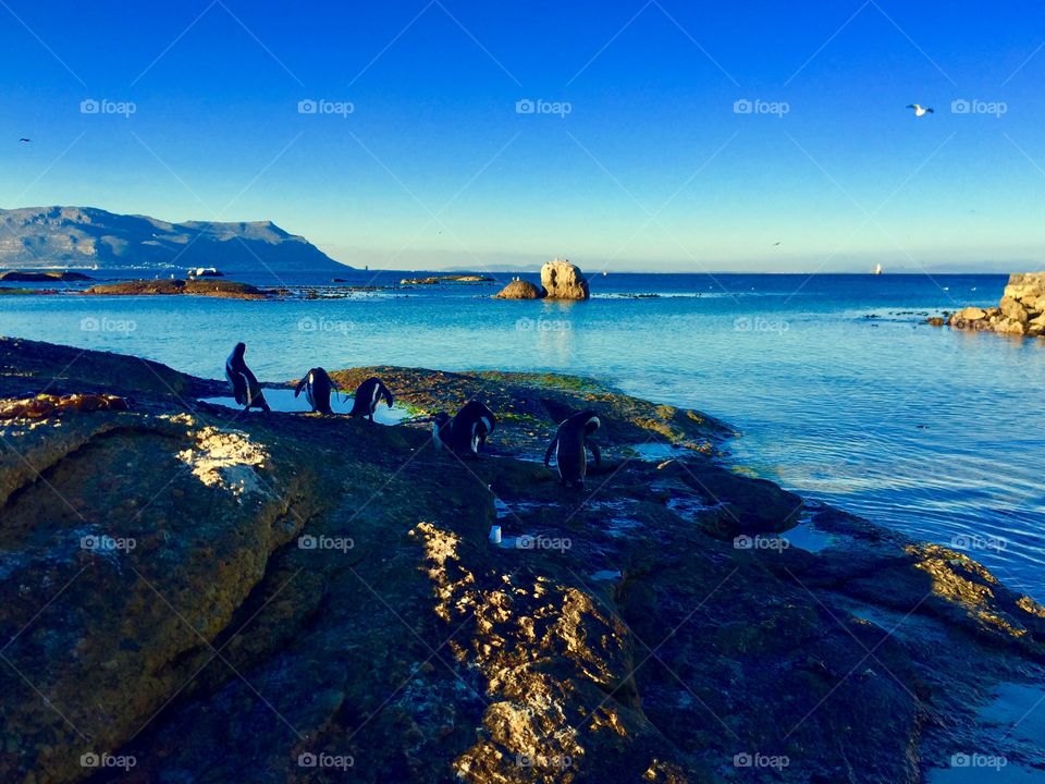 Boulder Beach 