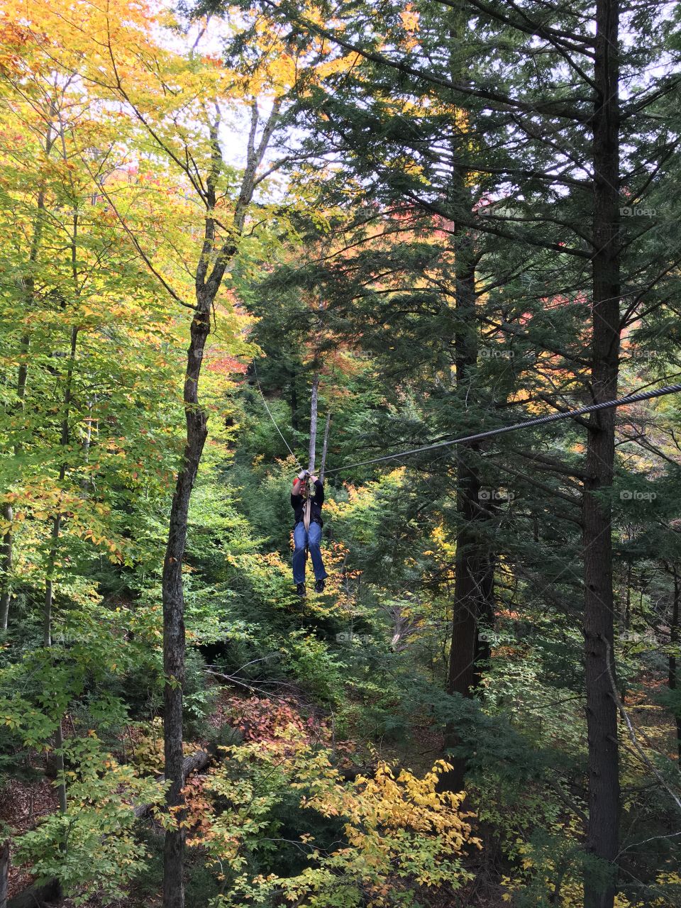 Zip-lining through the woods
