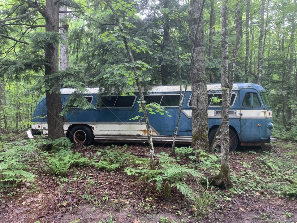 Abandoned Bus