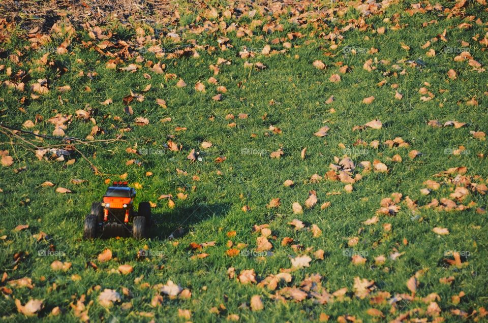 Rock Crawler on lawn 
