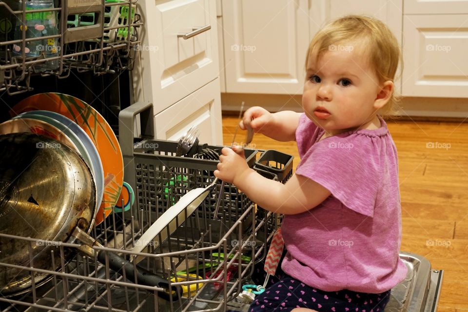 Toddler Girl Helping Load The Dishwasher