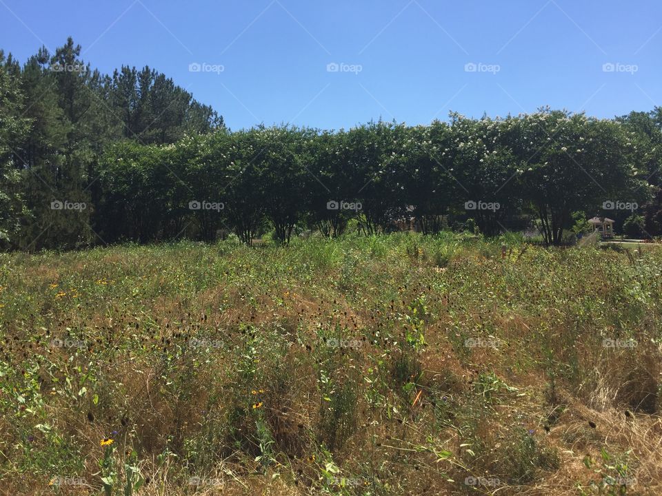 Exploring a new field...