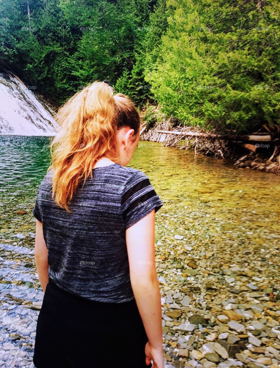 a walk in the woods near the river