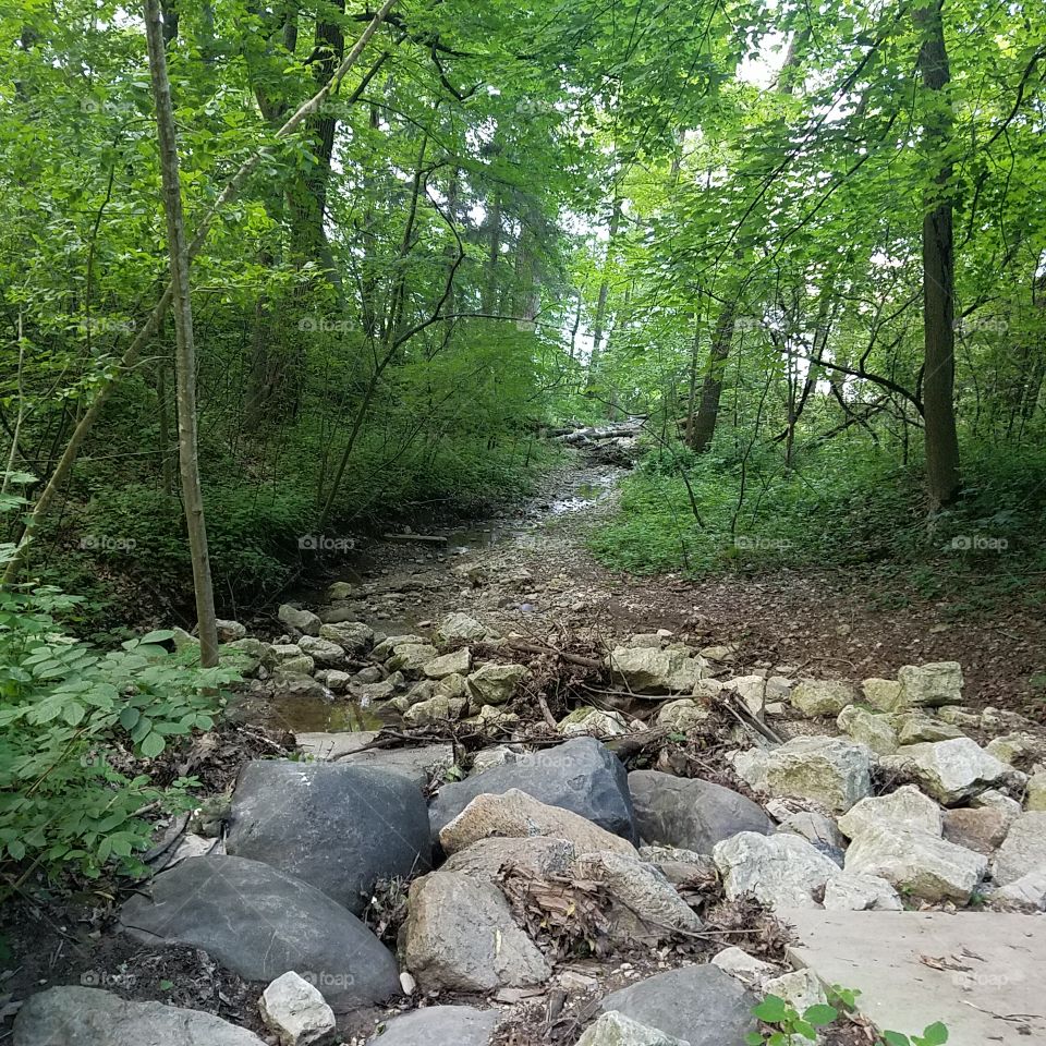 rock stream