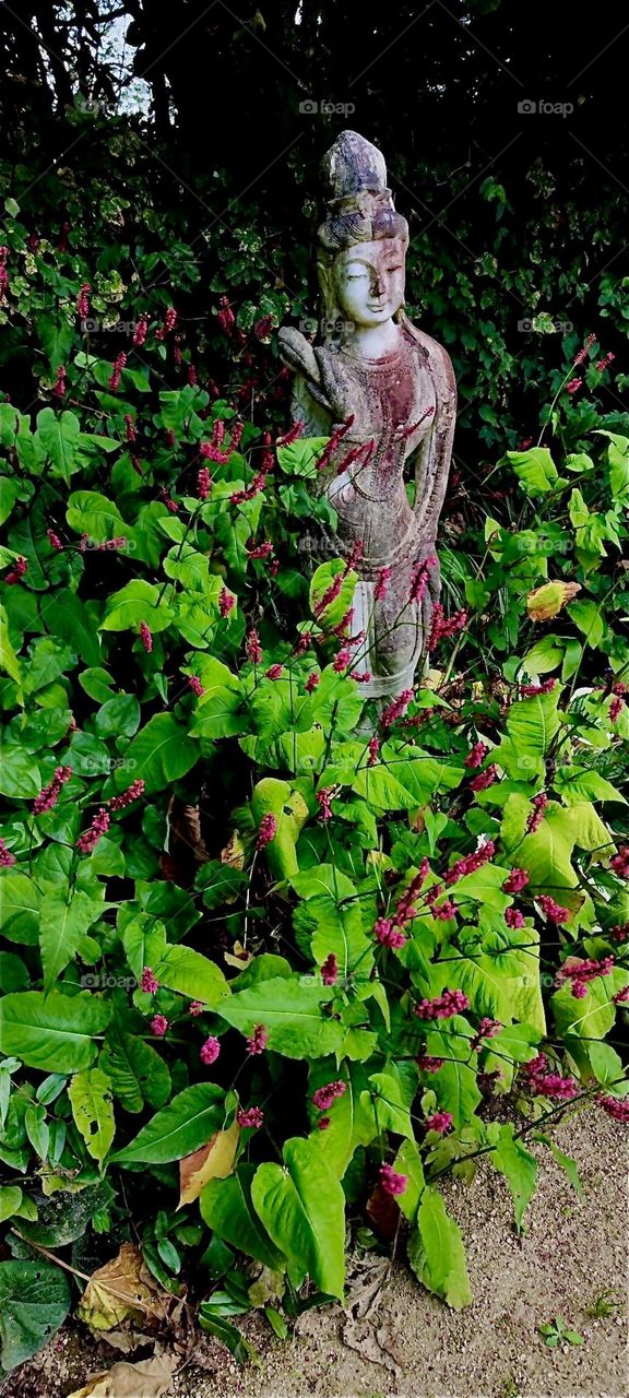 A “Gautama Buddha” statue hides in between the lush green vegetation of “Himalaya Nepal Park” in “Wiesent”, “Bavaria”, Germany. 2024. Hypnotic Productions