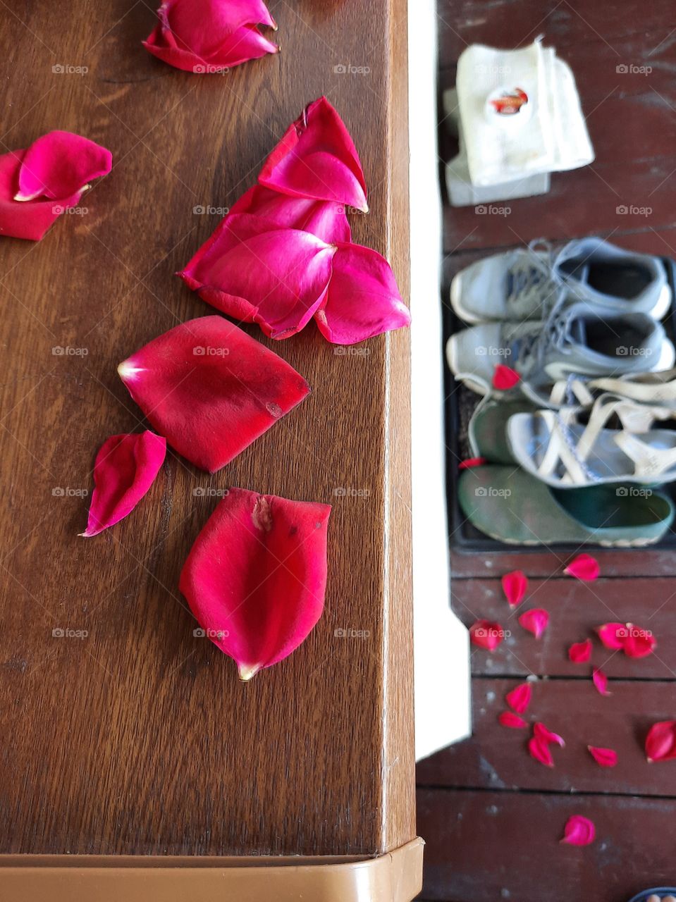 fallen petals of red rose on porch