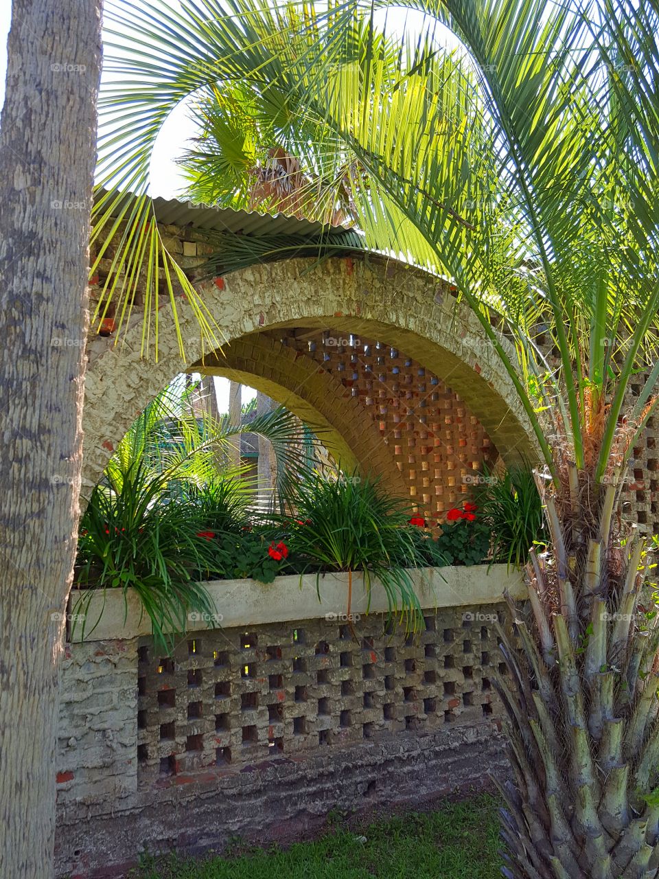 tropical patio garden