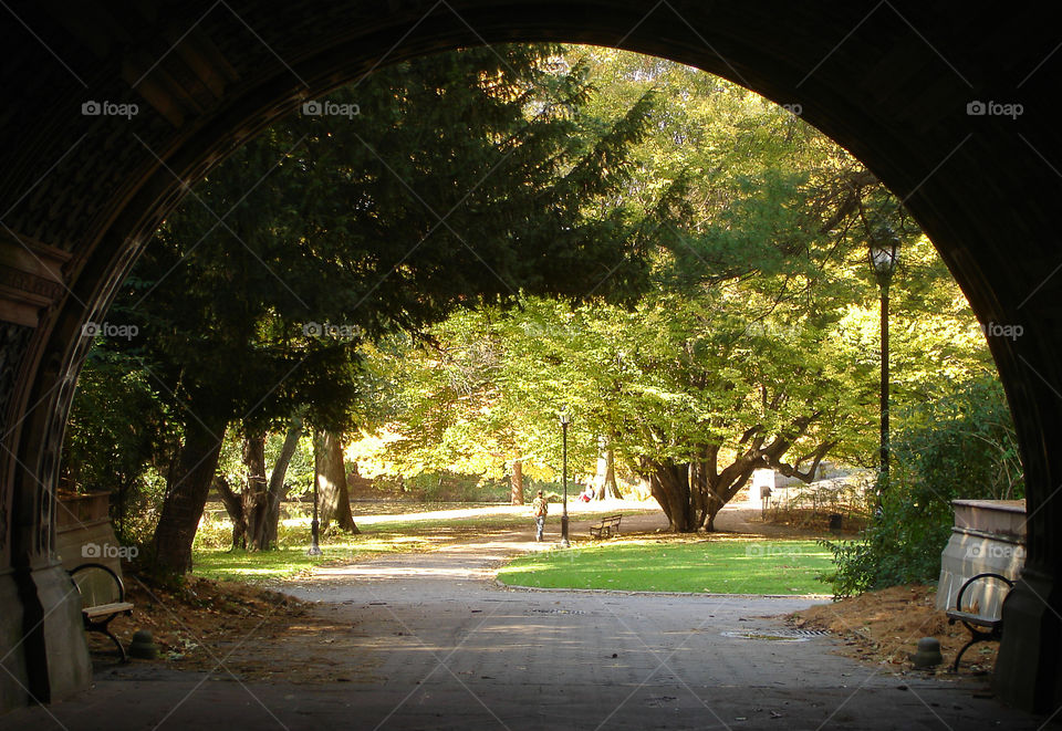 Prospect Park in autumn