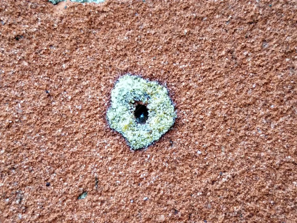 The Richland County Courthouse.
This building has so many details.