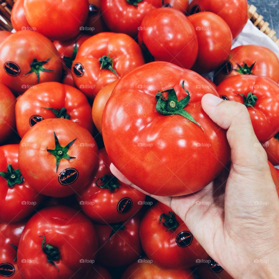 Holding food : Big tomatoes 