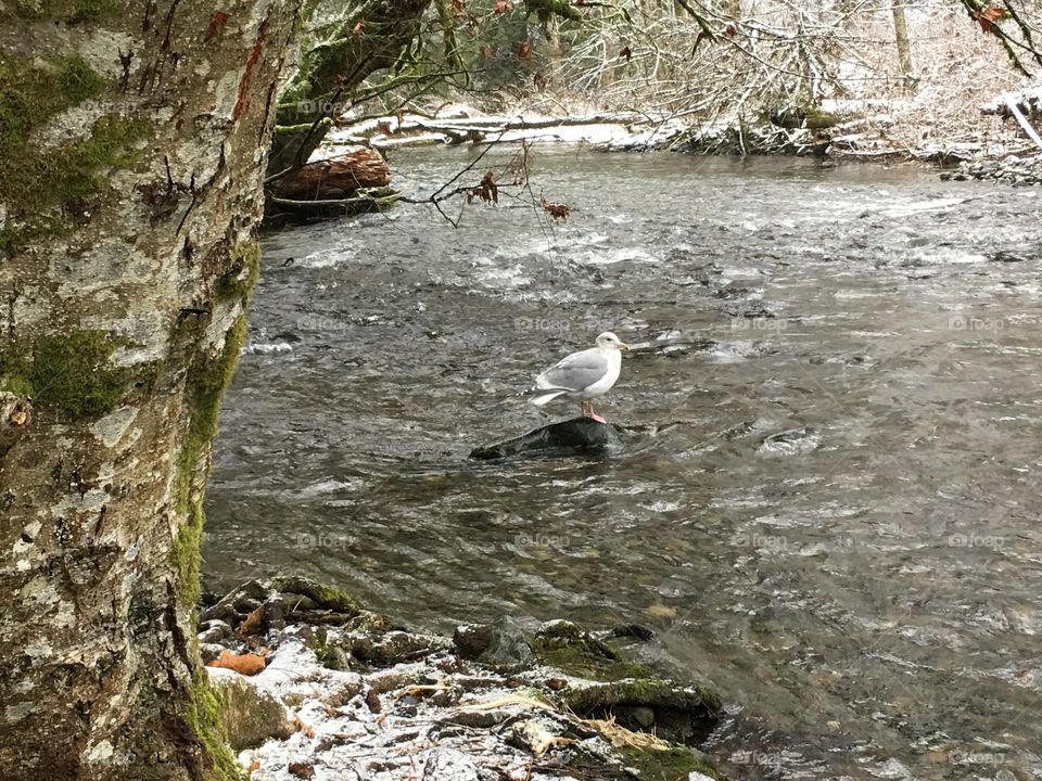 By the river 