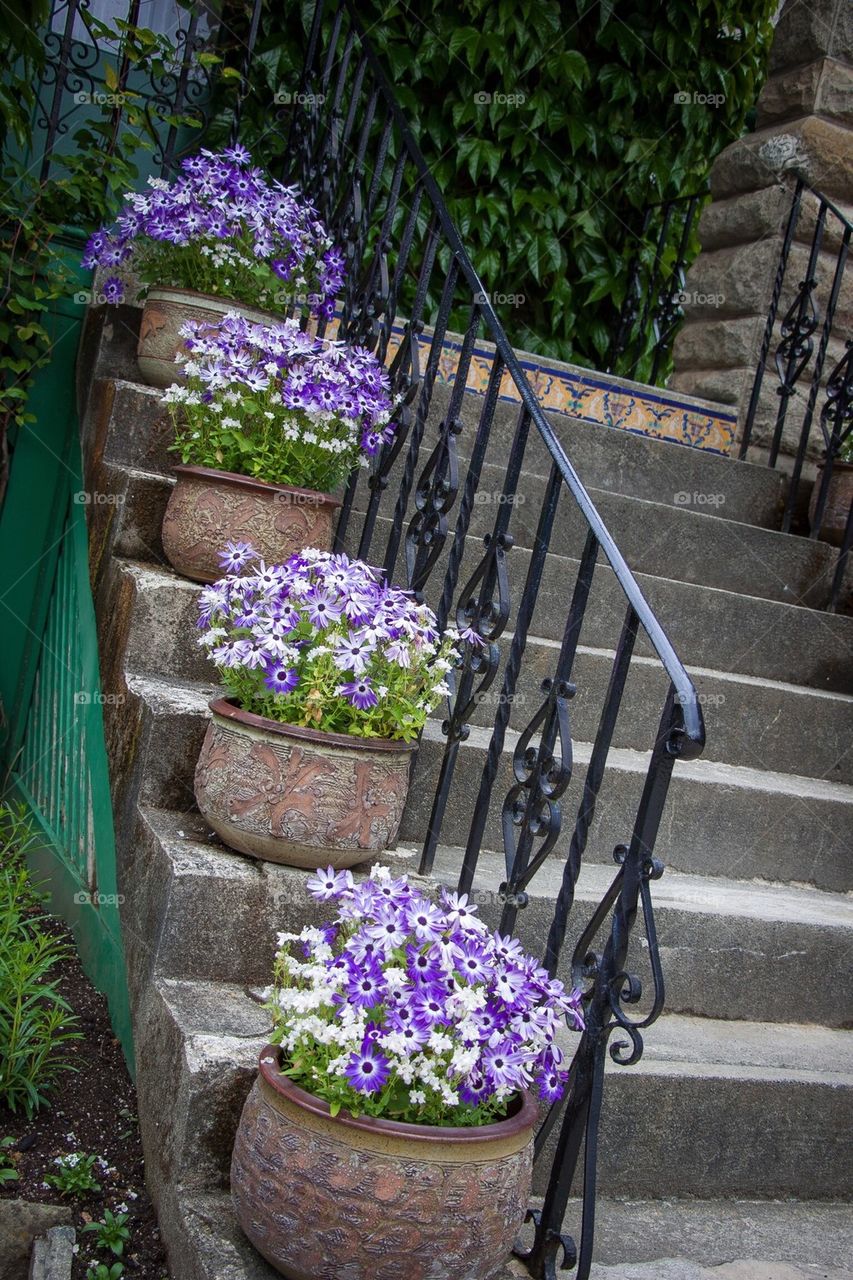 Garden Steps