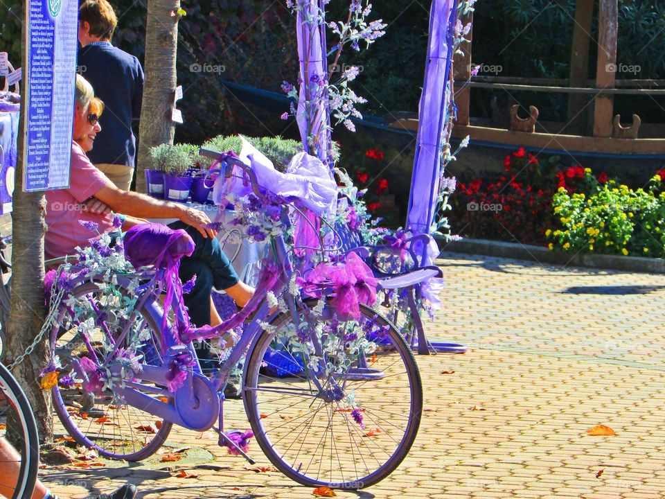 Woman who admires her purple bike
