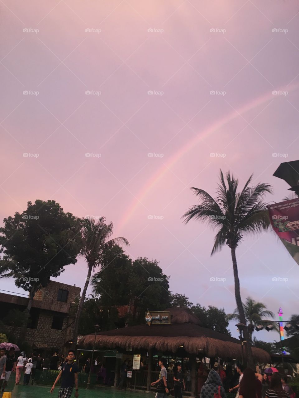 Rainbow 