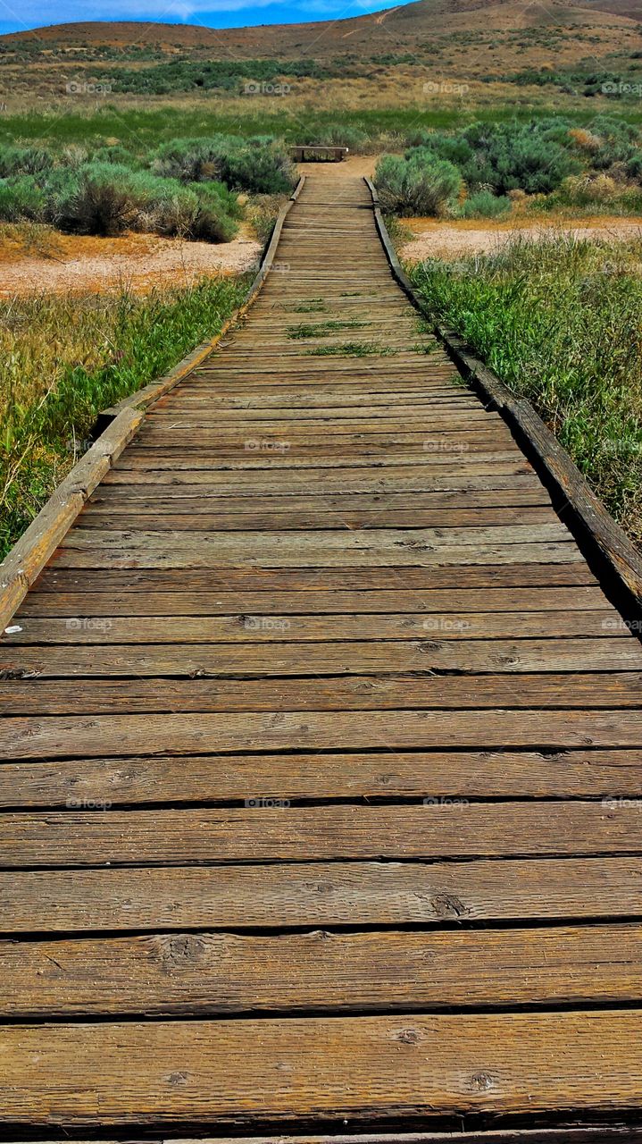Wooden Path