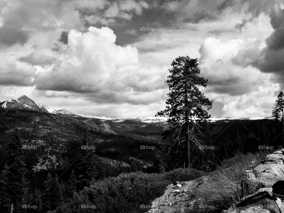 View over Yosemite National Park